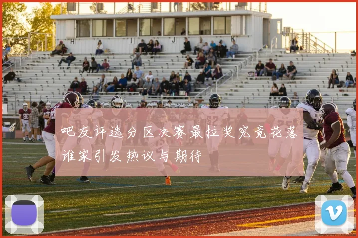 吧友评选分区决赛最拉奖究竟花落谁家引发热议与期待